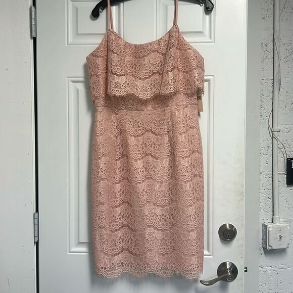 Pink Lace Dress - Brand New - Beautiful Spaghetti Strap - Size 8 Dress - NEW - Picture 1 of 6
